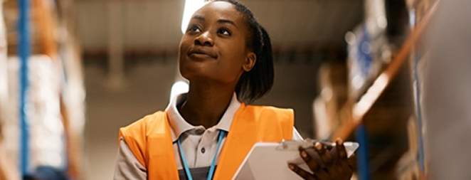 South African Constitution